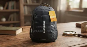 BIAOWANG Laptop Backpack –16inch Multi-Compartment Travel School Bag