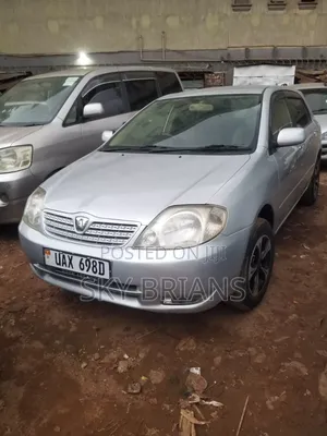 Toyota Allex 2006 Silver