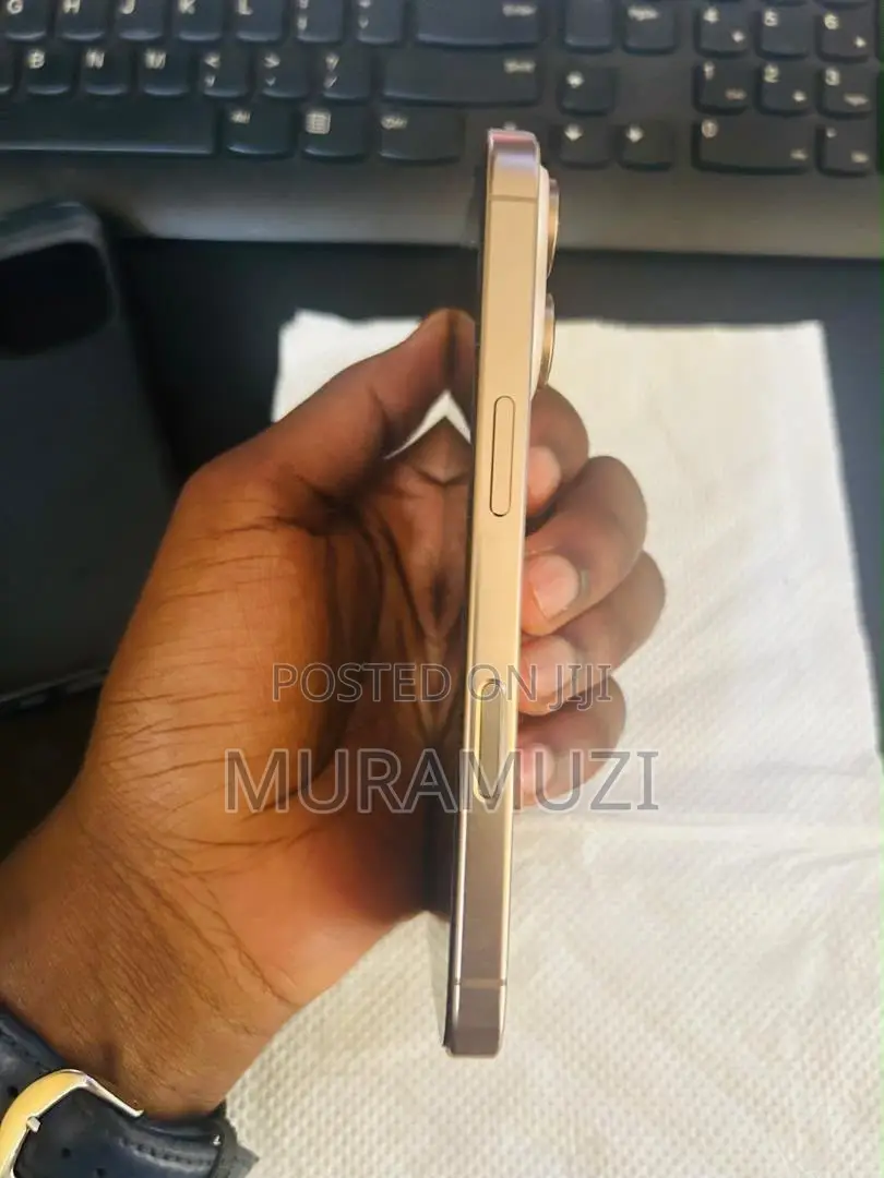 Apple iPhone 16 Pro 256 GB Gold