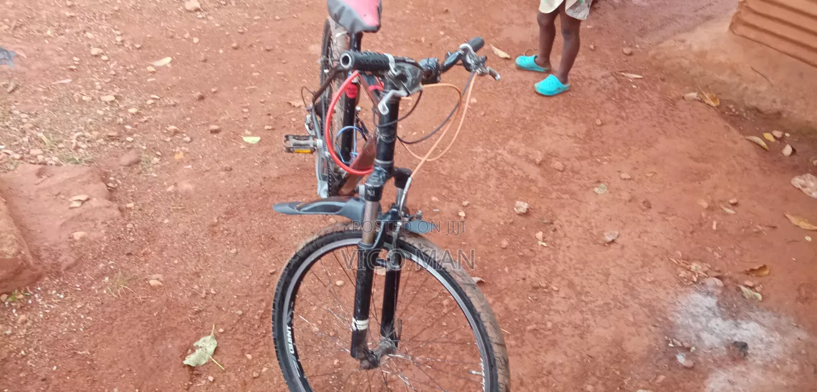 Giant Bike