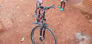 Giant Bike