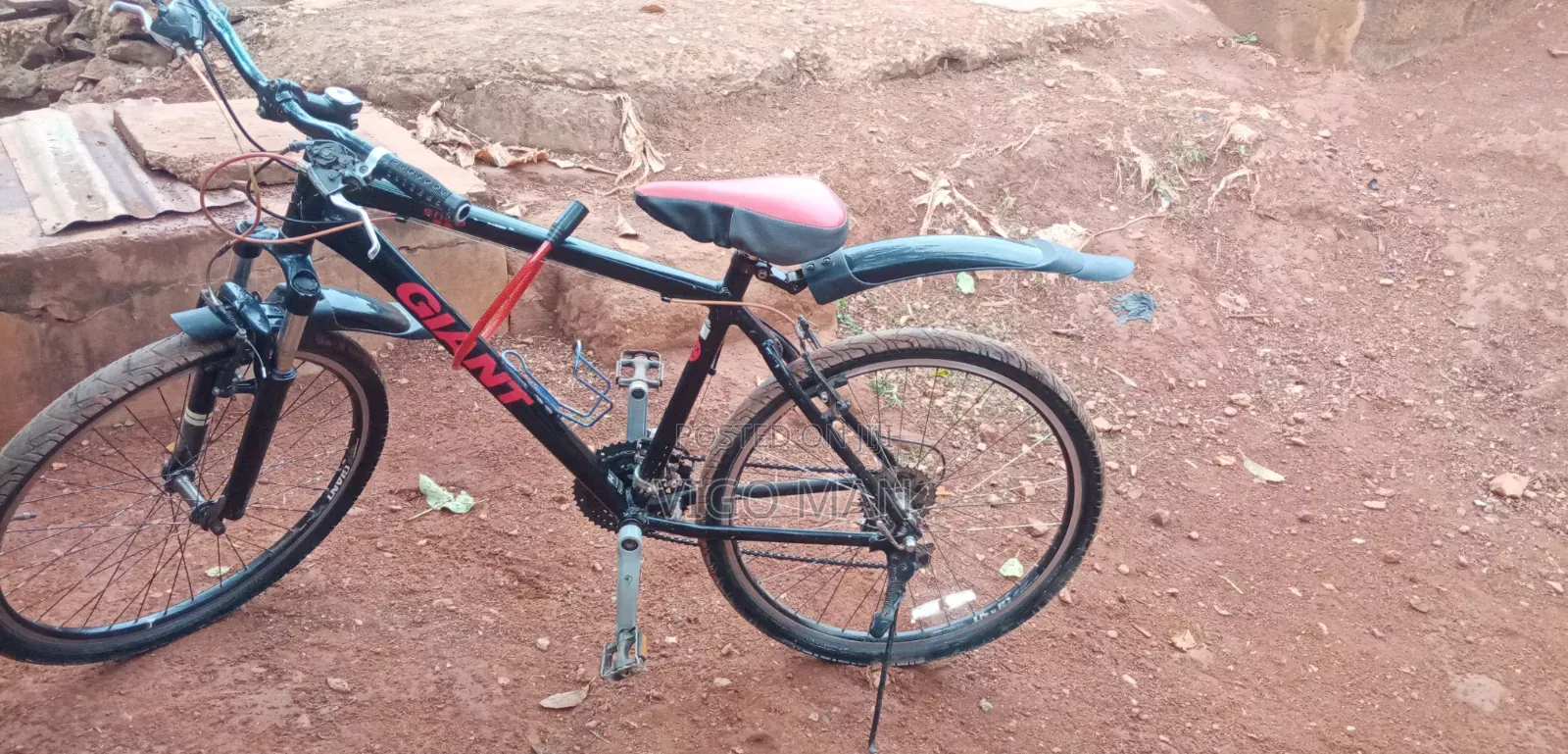 Giant Bike