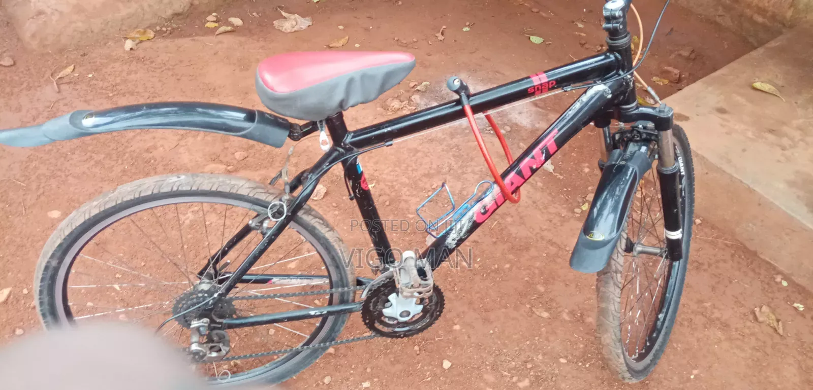 Giant Bike