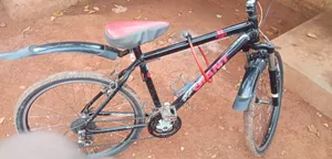 Giant Bike