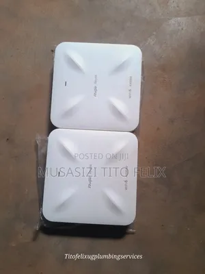 Rg-Rap2260(h