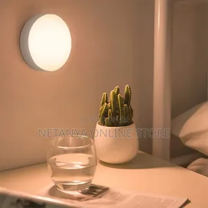 USB Rechargeable Motion Sensor Light