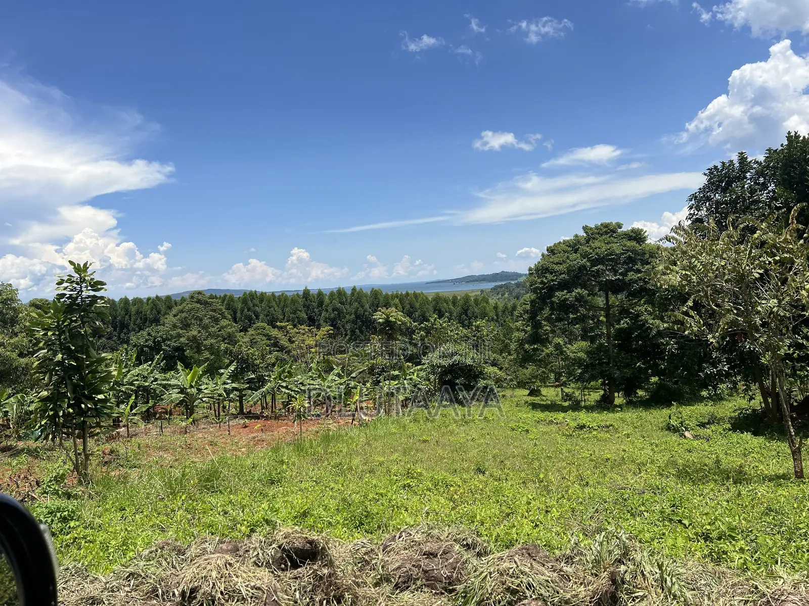 Land in Katosi - Lake View