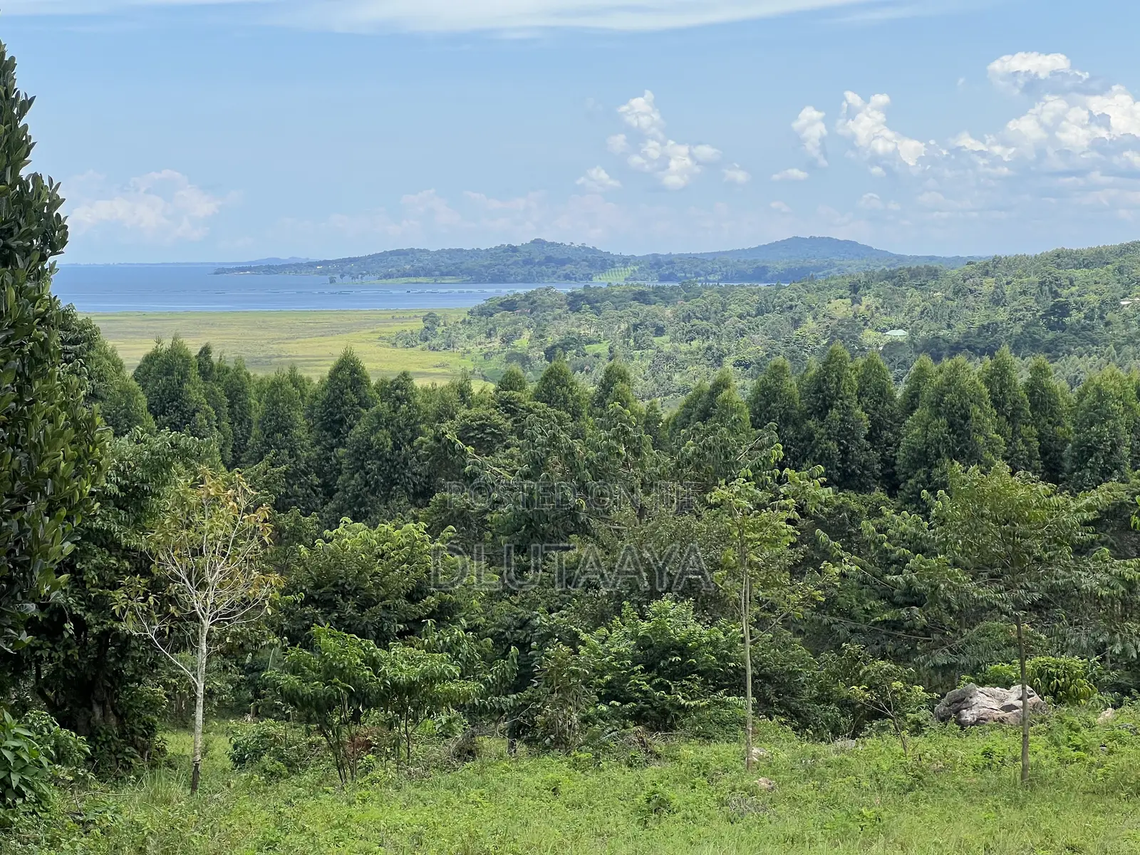 Land in Katosi - Lake View
