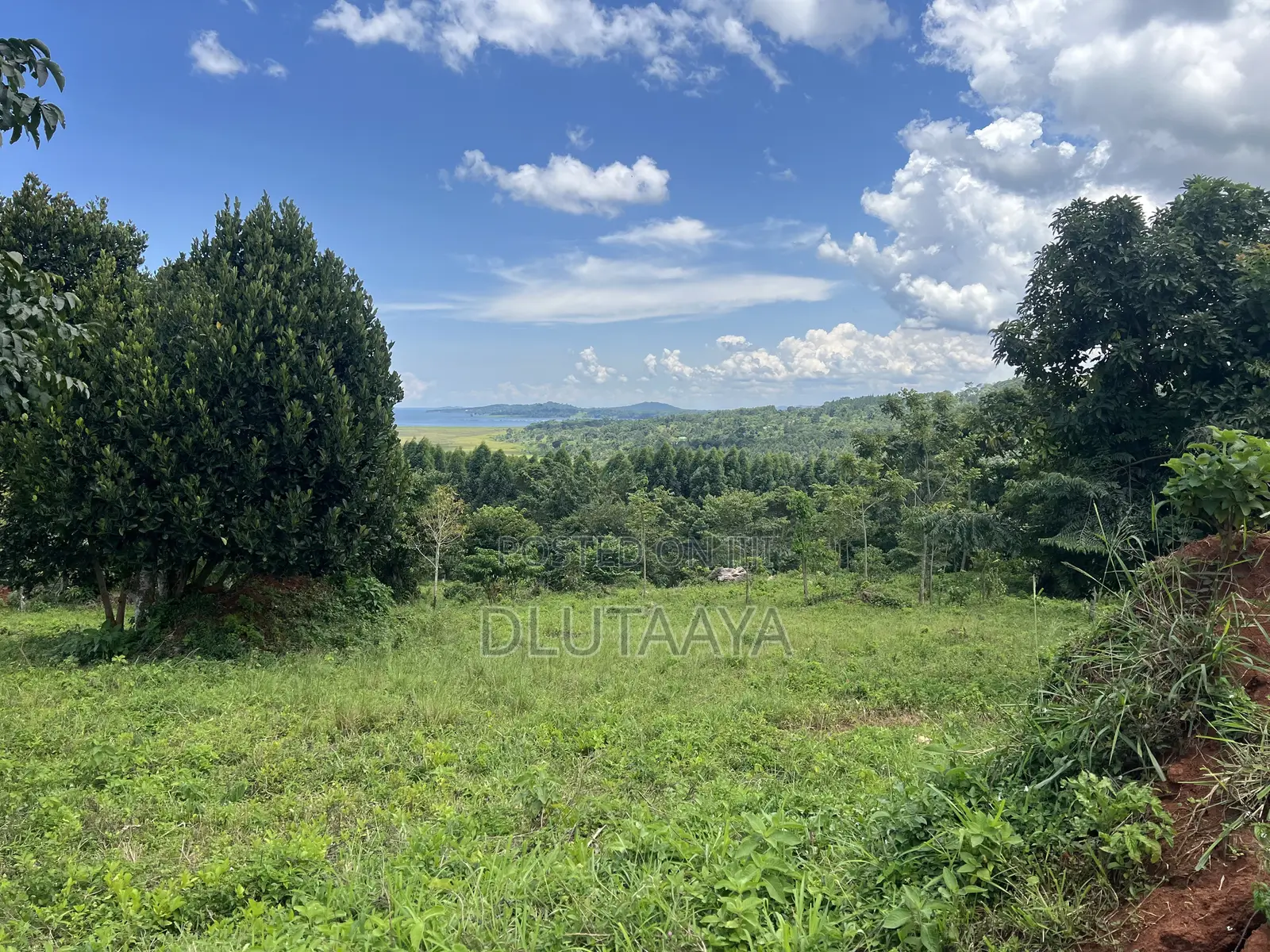 Land in Katosi - Lake View