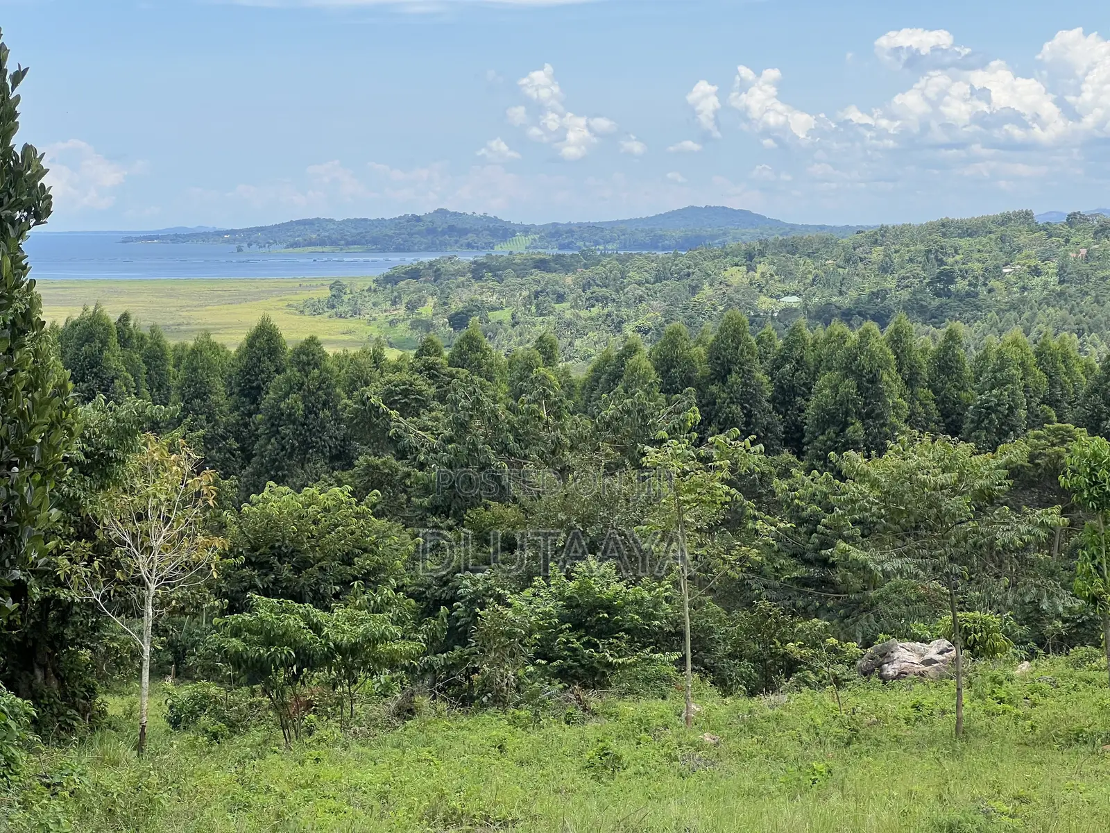 Land in Katosi - Lake View