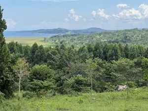Land in Katosi - Lake View