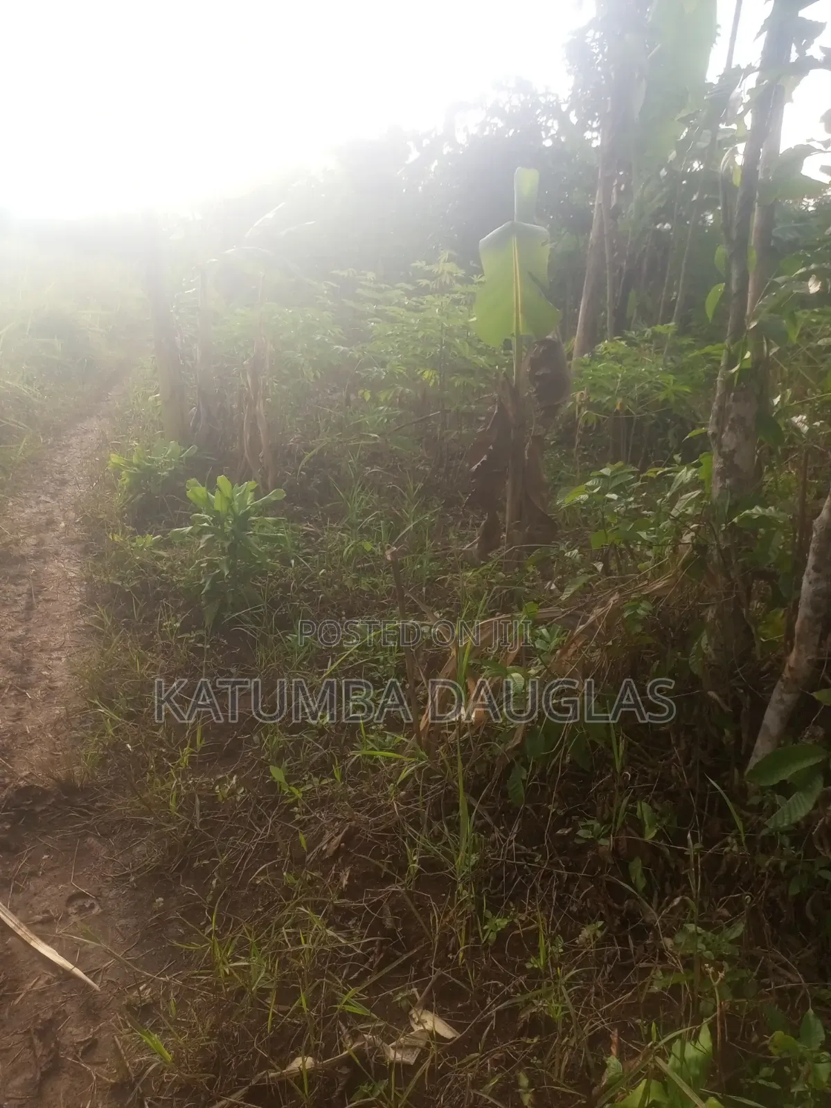 Urgent Money Needed in an Acre