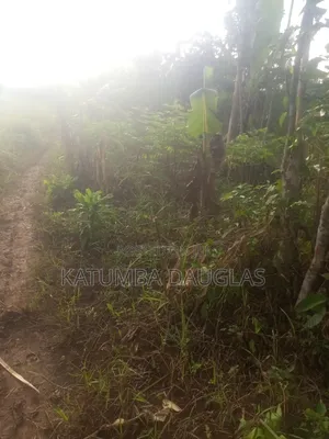 Urgent Money Needed in an Acre