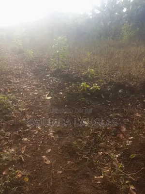 Urgent Money Needed in an Acre