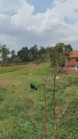 Commercial Land for Sale – Matugga–kasangati Road!