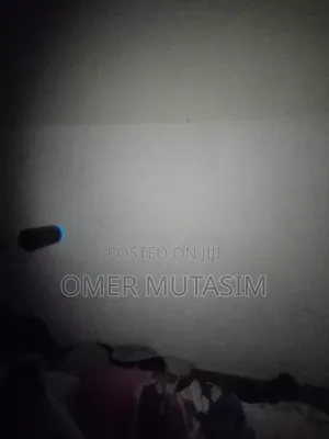 Solar Lamp