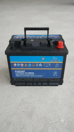 Buffalo DIN55MF 12V 55Ah 550CCA Maintenance-Free Car Battery