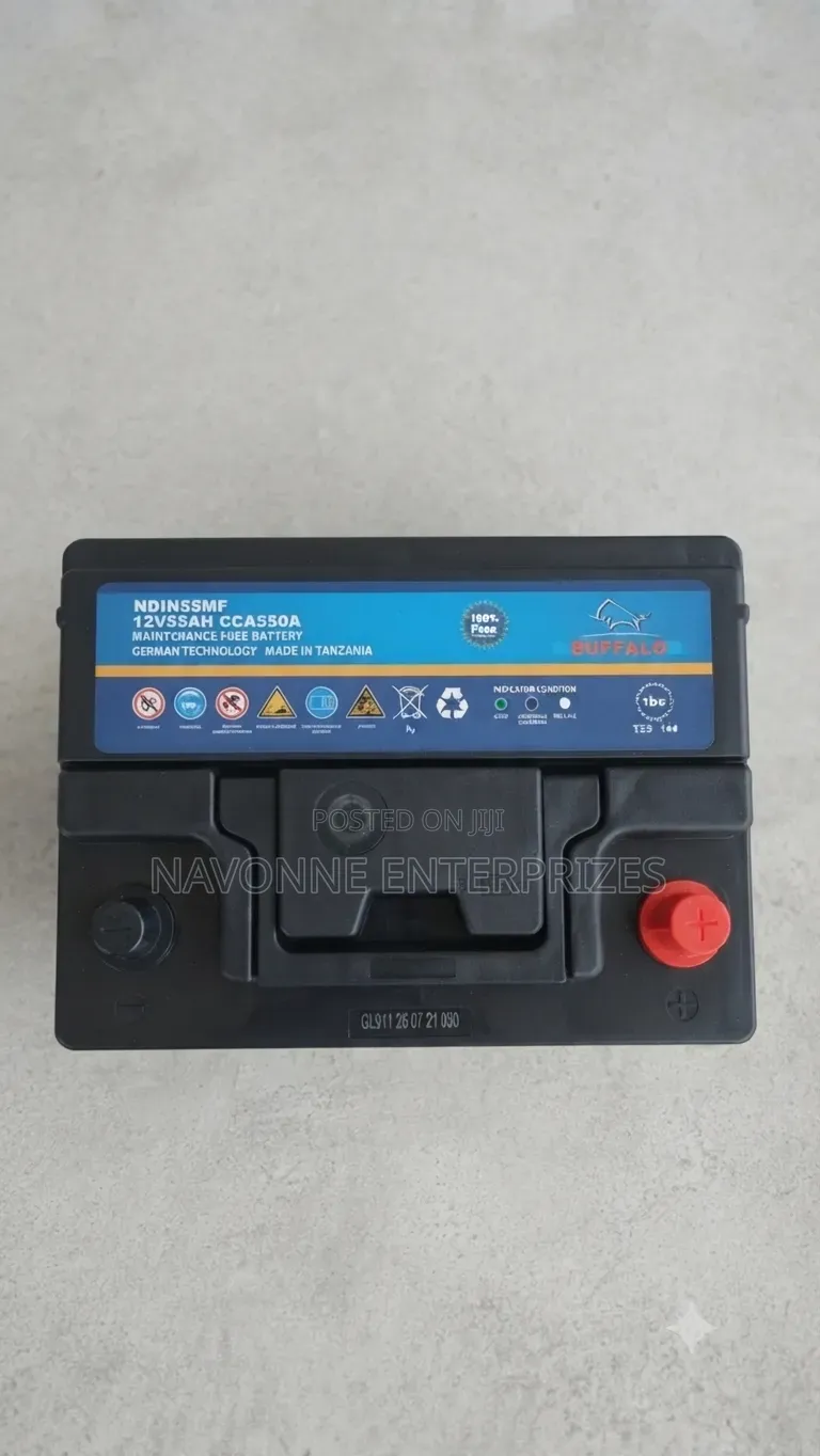 Buffalo DIN55MF 12V 55Ah 550CCA Maintenance-Free Car Battery