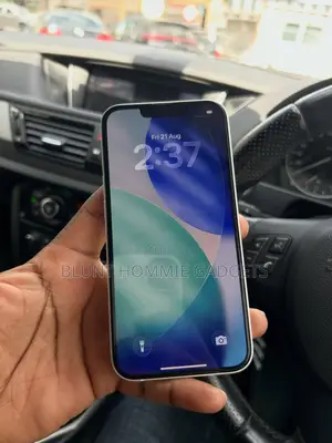 Apple iPhone 13 256 GB
