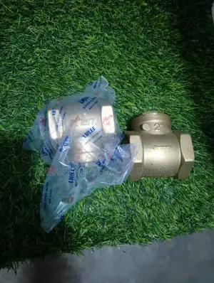 Gi Non Return Valves 2 Inch/Lirlee Originally Good Quality/ All Types