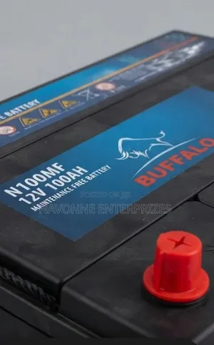 Buffalo N100 Maintenance-Free 12V 100Ah Heavy-Duty Car Battery