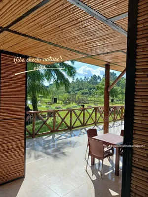Bamboo Coolling Ceiling