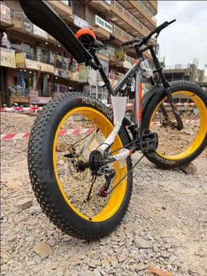 Kingo Giant Bicycle