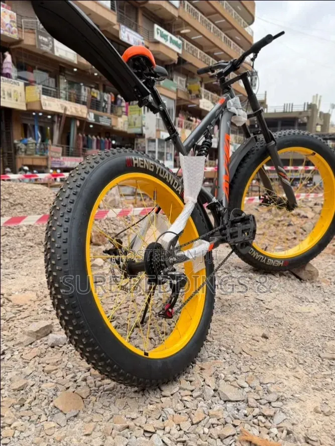 Kingo Giant Bicycle