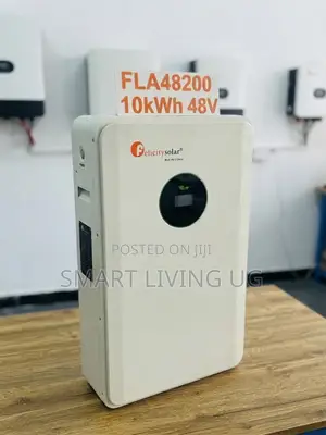 10kWh Felicity Lithium Battery – 48V Home Energy Storage Solution