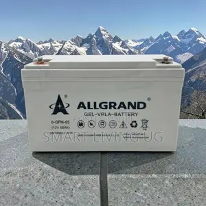 Allgrand 12V 65Ah High-Performance Solar & Inverter Gel Battery