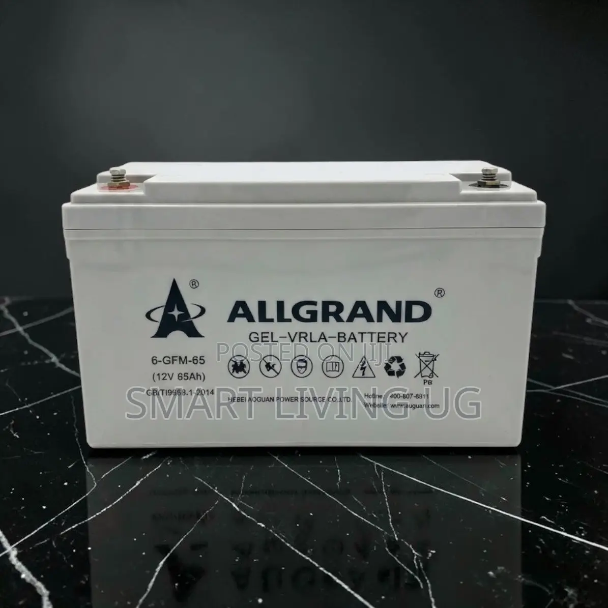Allgrand 65Ah Gel Battery: Long-Lasting Power for Solar & Inverters