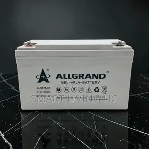 Allgrand 65Ah Gel Battery: Long-Lasting Power for Solar & Inverters
