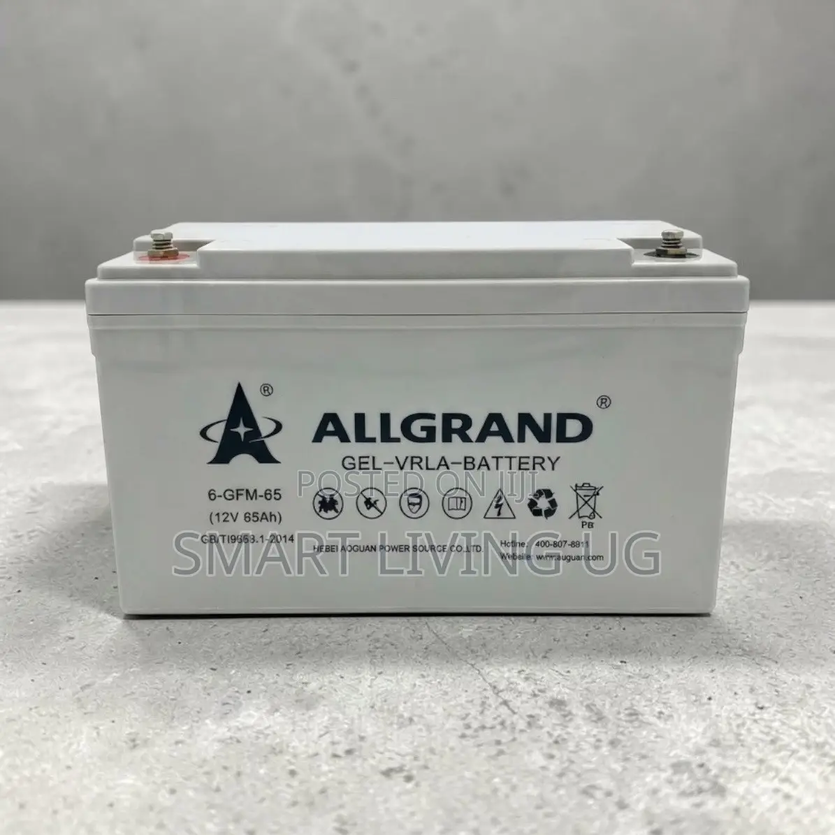 Allgrand 65Ah Gel Battery: Long-Lasting Power for Solar & Inverters