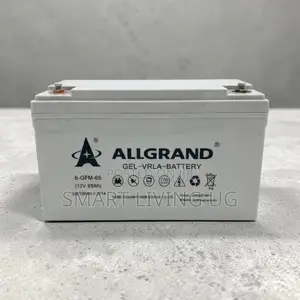 Allgrand 65Ah Gel Battery: Long-Lasting Power for Solar & Inverters