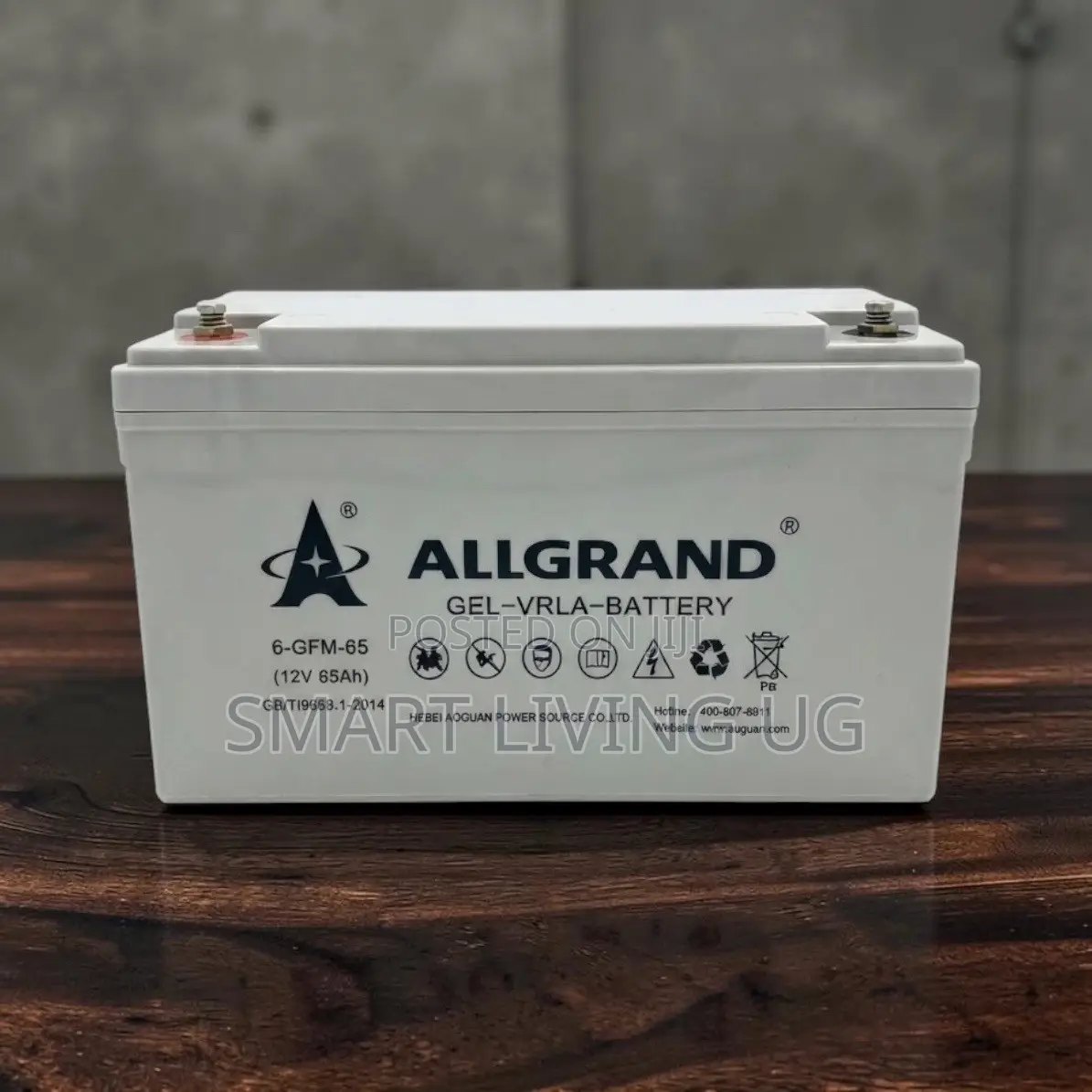Reliable Energy Storage: Allgrand 12V 65Ah Deep Cycle Gel Battery