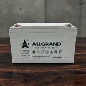 Reliable Energy Storage: Allgrand 12V 65Ah Deep Cycle Gel Battery