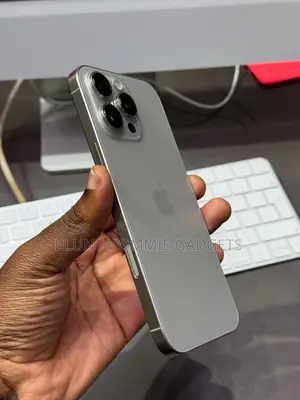 Apple iPhone 16 Pro Max 256 GB Silver