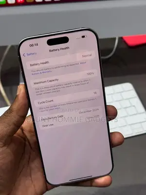 Apple iPhone 16 Pro Max 256 GB Silver