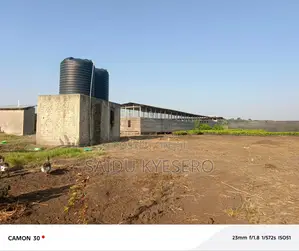 Land at LWENGO