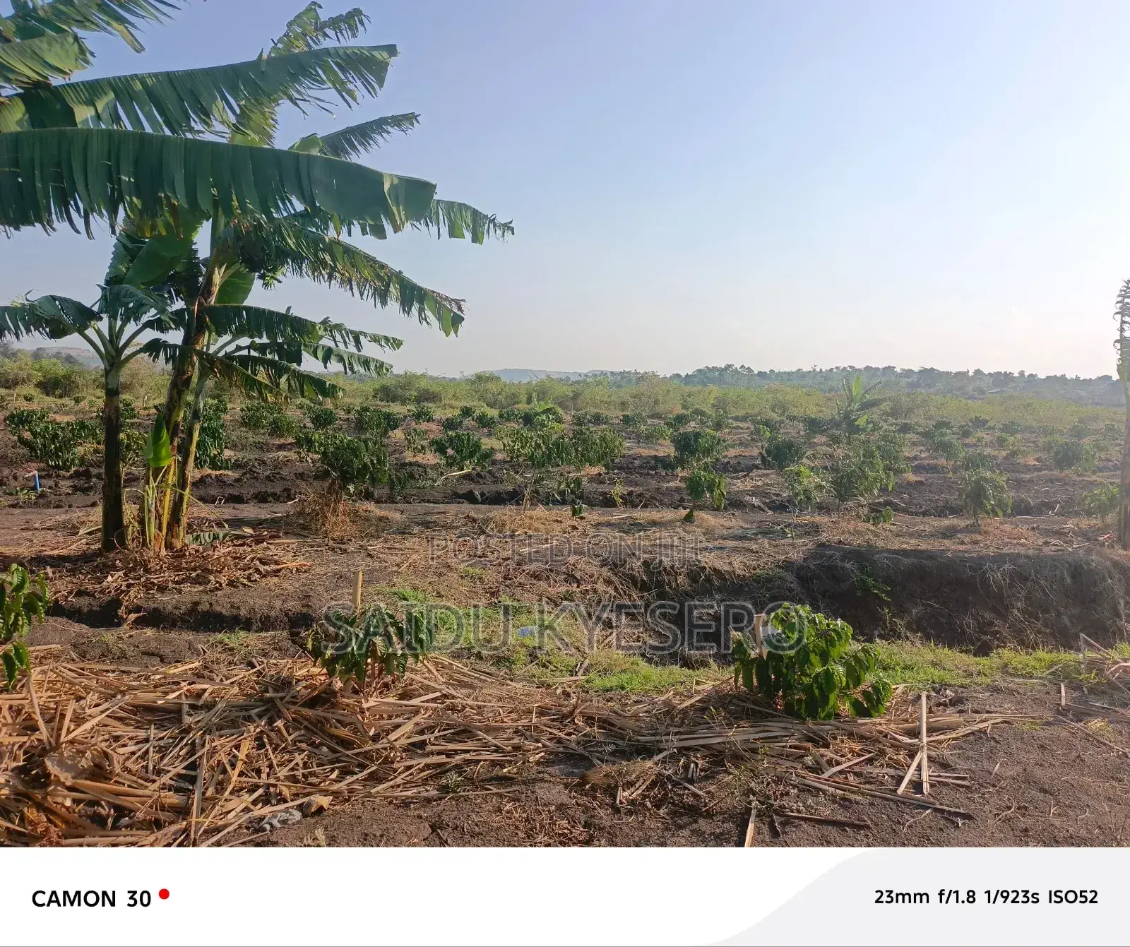 Land at LWENGO