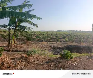 Land at LWENGO