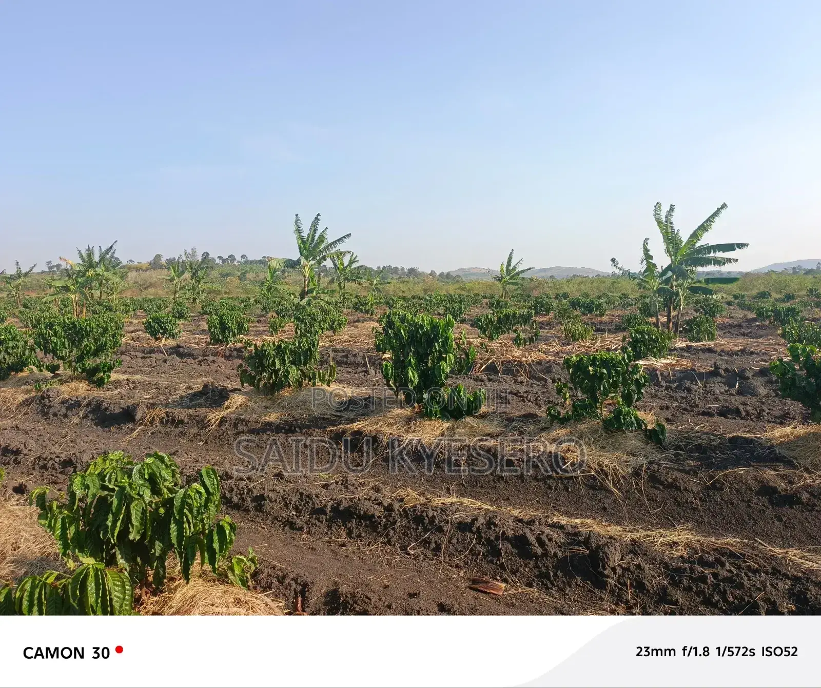 Land at LWENGO