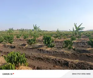 Land at LWENGO