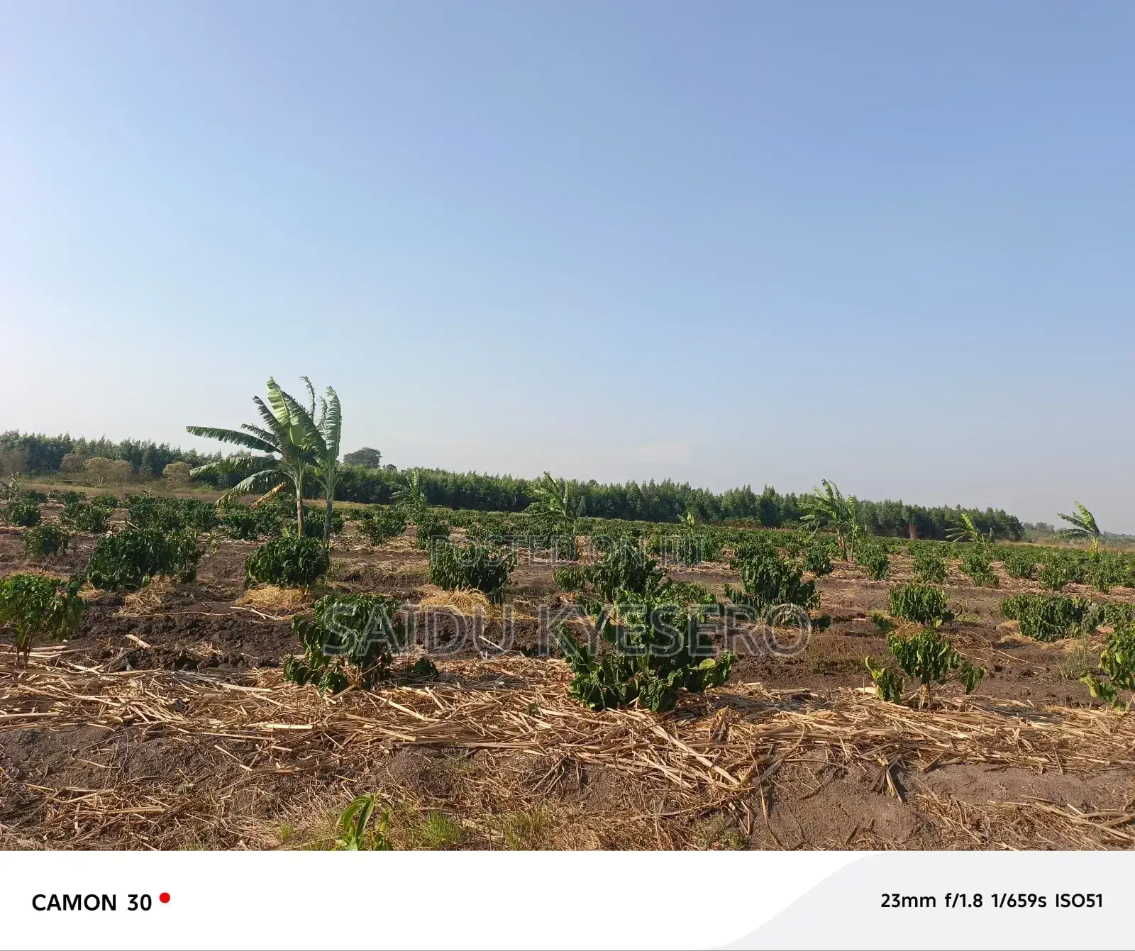 Land at LWENGO