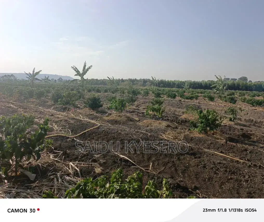 Land at LWENGO