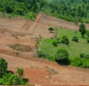 Prime Plots for Sale at Gobero~Kibujo Land Estate Along Hoima Road.