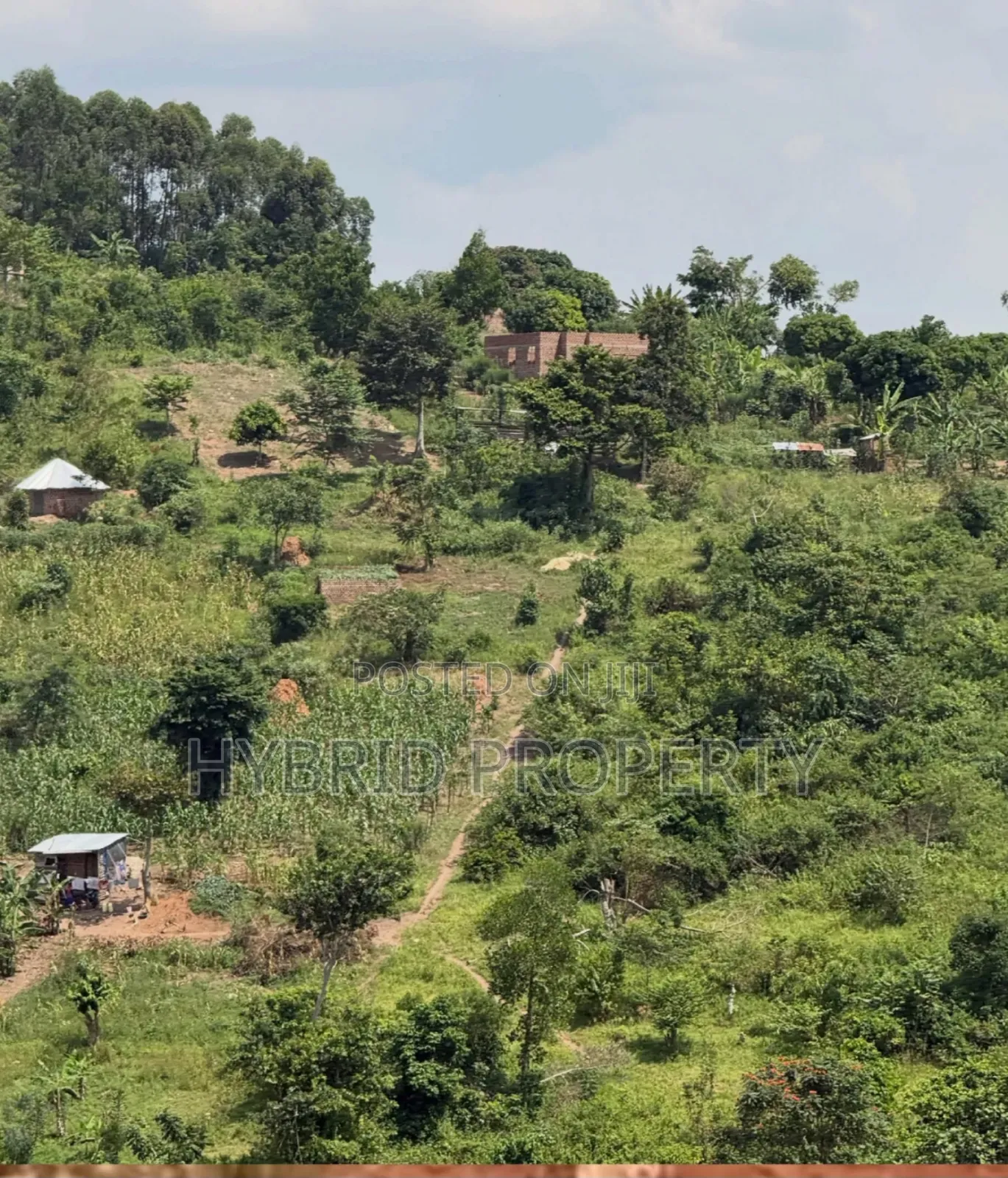 Prime Plots for Sale at Gobero~Kibujo Land Estate Along Hoima Road.