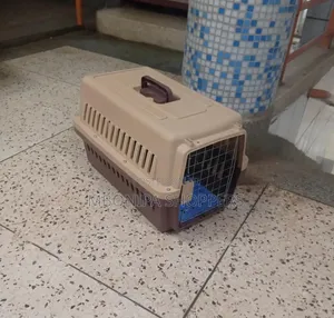 Cat Pet Dog House Rabbit Airlines Approved Travel Carrier Outbound