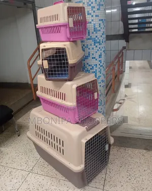 Cat Pet Dog House Rabbit Airlines Approved Travel Carrier Outbound