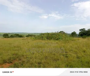 Land at Bukakata